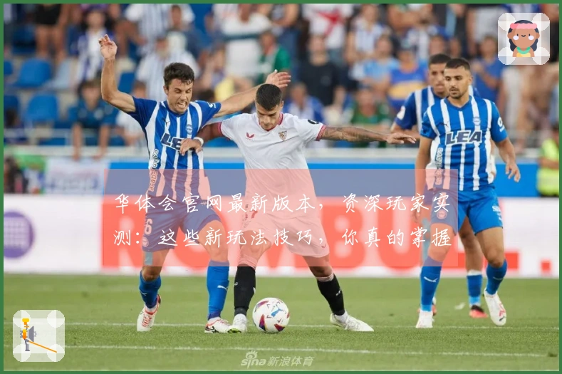 华体会官网最新版本，资深玩家实测：这些新玩法技巧，你真的掌握了吗？
