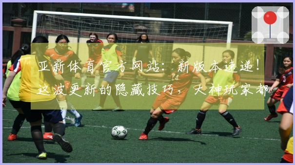 亚新体育官方网站：新版本速递！这波更新的隐藏技巧，大神玩家都在悄悄用！